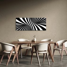 Abstraktní obraz so zebrymi pruhmi (120x50 cm)