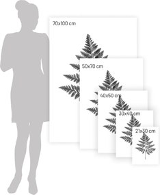 Plagát Fern Grey