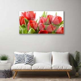 Obraz na akrylátovom skle Tulipány kvety rastlina 100x50 cm