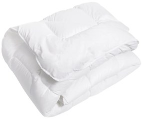 PAPLÓN 180X200 CM BIELA