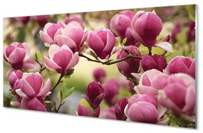 Sklenený obraz kvety 120x60 cm