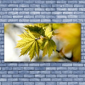 Obraz na akrylátovom skle Listy rastlina 120x60 cm