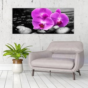 Obraz - Fialové orchidey (120x50 cm)