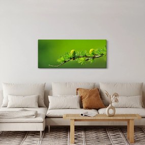 Obraz zelenej šišky (120x50 cm)