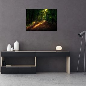 Obraz lesnej cesty (70x50 cm)