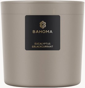 Vonná sviečka's 3 knôtmi Eucalyptus & Blackcurrant (Freesia, Gardenia, Musk)