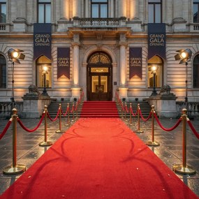 Betap, SUPER CENA: Červený festivalový metrážny koberec Budget, na mieru, šíře 4m, červená, resine, chodba / predsieň