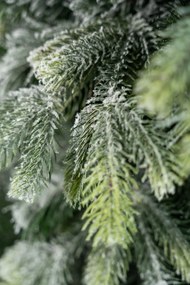 Limpol Kanadská zasnežená borovica 1,50 m