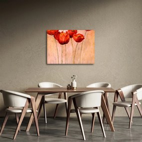 Obraz - Červené tulipány (70x50 cm)