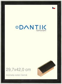 DANTIK rám na obraz 29,7x42 | INCLINATA colori černá (Plexi Čiré)