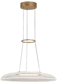 Rabalux 72411 - LED závesné svietidlo na lanku ZOFRAEL LED/24W/230V 3000K