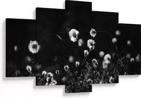 Obraz - Lúka s cottongrass N⁰1 (150x105 cm)