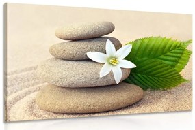 Obraz biely kvet a kamene v piesku Varianta: 120x80