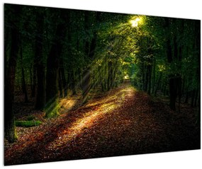 Obraz lesnej cesty (90x60 cm)