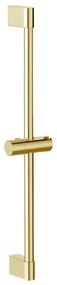 Sprchový držiak 01 Zlatá Rea P5981