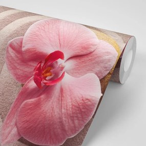 Tapeta morský piesok a ružová orchidea - 450x300