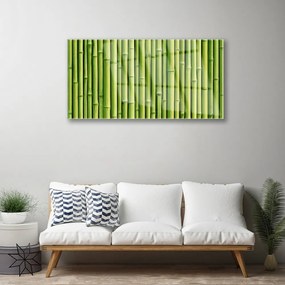 Skleneny obraz Bambus rastlina príroda 140x70 cm