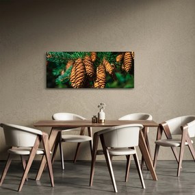 Obraz šišiek (120x50 cm)