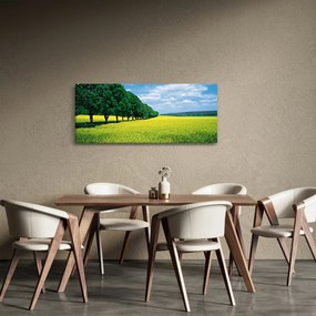 Obraz poľa s alejou (120x50 cm)