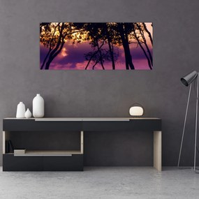 Obraz - Stromy pri západe slnka (120x50 cm)