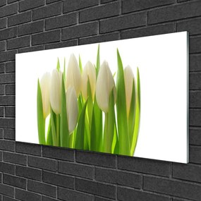 Obraz na skle Tulipány rastlina príroda 120x60 cm