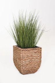 Kvetináč ASIA, vodný hyacint, výška 30 cm, natur