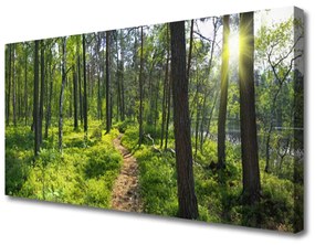Obraz Canvas Les chodník cestička príroda 100x50 cm