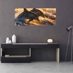 Obraz - Delfíny (120x50 cm)