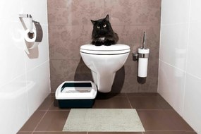 BO-MA, Kúpeľňová predložka Ella micro biela, 50x40, biela, kúpeľňa