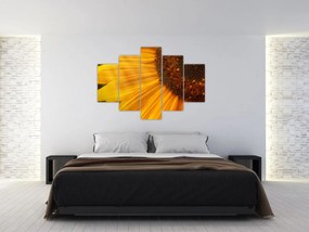 Obraz - Slnečnica (150x105 cm)