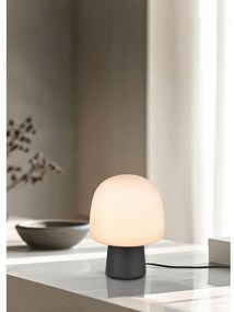 Čierno-biela stolová lampa so skleneným tienidlom (výška 27 cm) Steen – Trio