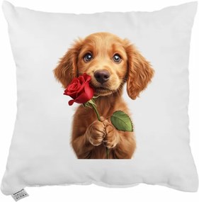 Dekoratívny vankúš Maxie 40x40 cm EMI