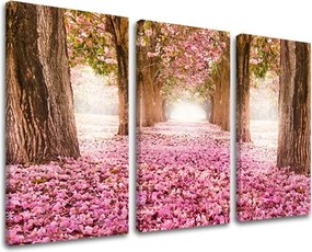 Obraz na stenu STROMY