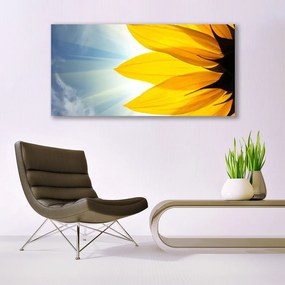 Obraz na akrylátovom skle Plátky rastlina 120x60 cm