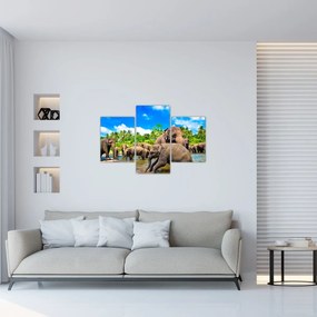 Obraz - Slony, Sri Lanka (90x60 cm)