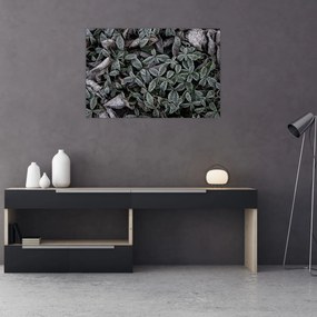 Obraz - Zamrznuté rastliny (90x60 cm)