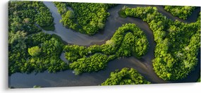 Obraz - Lesná krajina s riekou (120x50 cm)