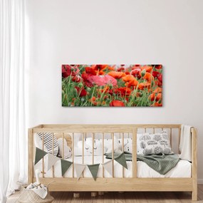 Obraz z poľa vlčích makov (120x50 cm)