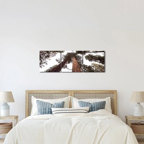 Obraz - Pohľad skrz koruny stromov (s hodinami) (90x30 cm)