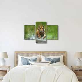 Obraz - Bežiaci tiger (90x60 cm)