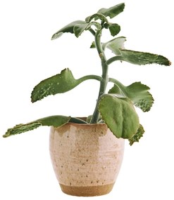 MADAM STOLTZ Kameninový obal na kvetináč Peach 15 cm