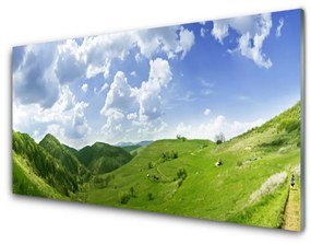 Obraz plexi Hora lúka príroda 125x50 cm