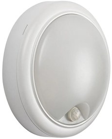 Rabalux 77029 - LED Vonkajšie nástenné svietidlo so senzorom LED/15W/230V IP54