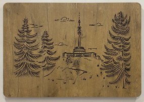 Obrazy na stenu Vysielač na vrchu