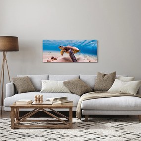 Obraz korytnačky v oceáne (120x50 cm)