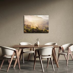 Obraz - Svitanie (70x50 cm)