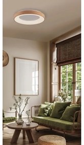 Azzardo AZ4989 - LED Stropné svietidlo SANTANA LED/30W/230V hnedá