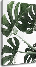 Obraz na plátne RASTLINY 009