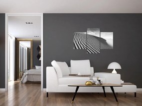 Obraz - Piesočná duna (90x60 cm)