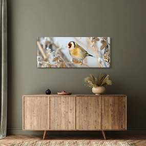 Obraz - Stehlík (120x50 cm)